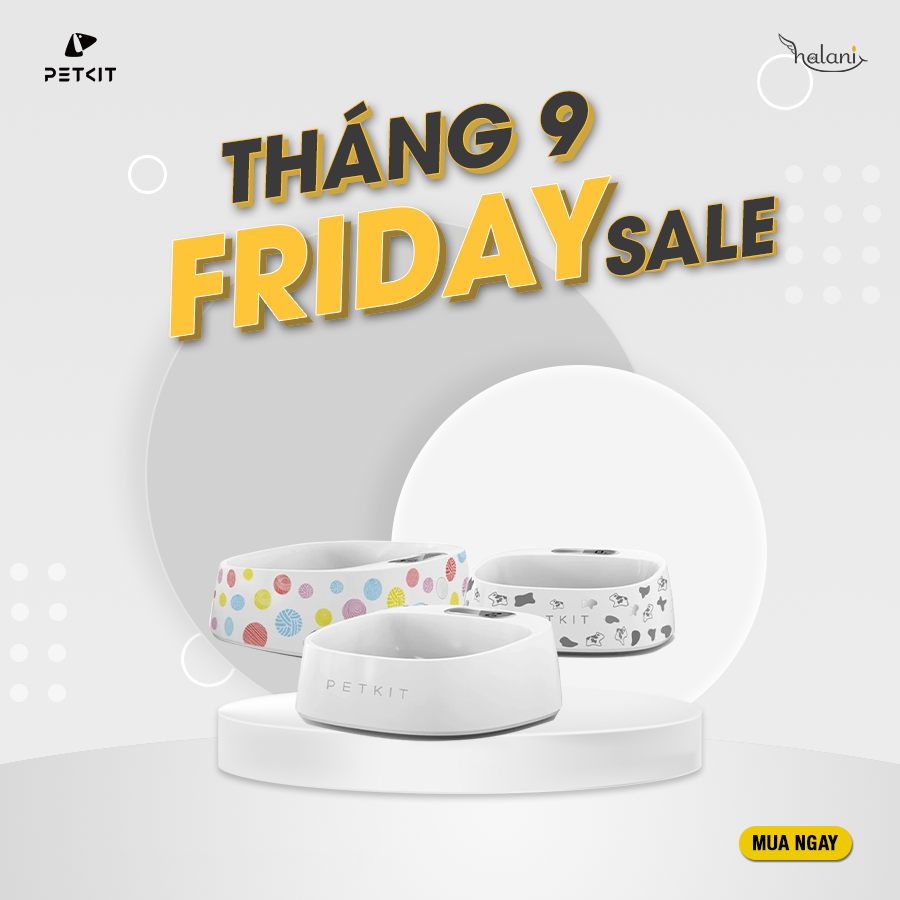 BÁT ĂN CÂN GRAM VÀ TIỆT TRÙNG