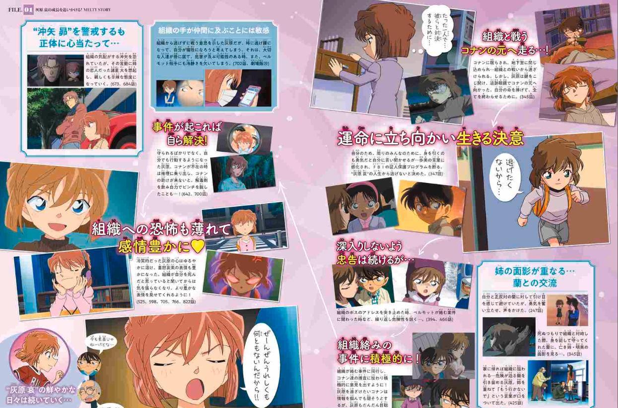 Detective Conan: Secret Archives Ai Haibara (Japanese Edition)
