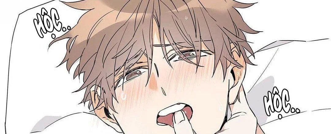 guide cấp b chapter 8 133