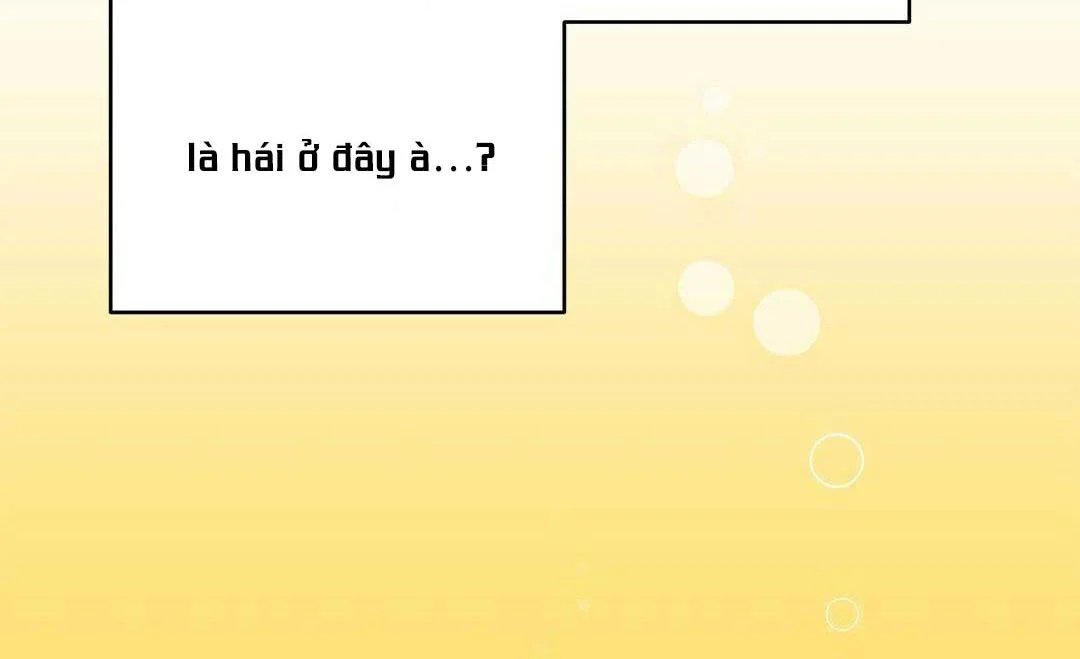 guide cấp b chapter 14 9