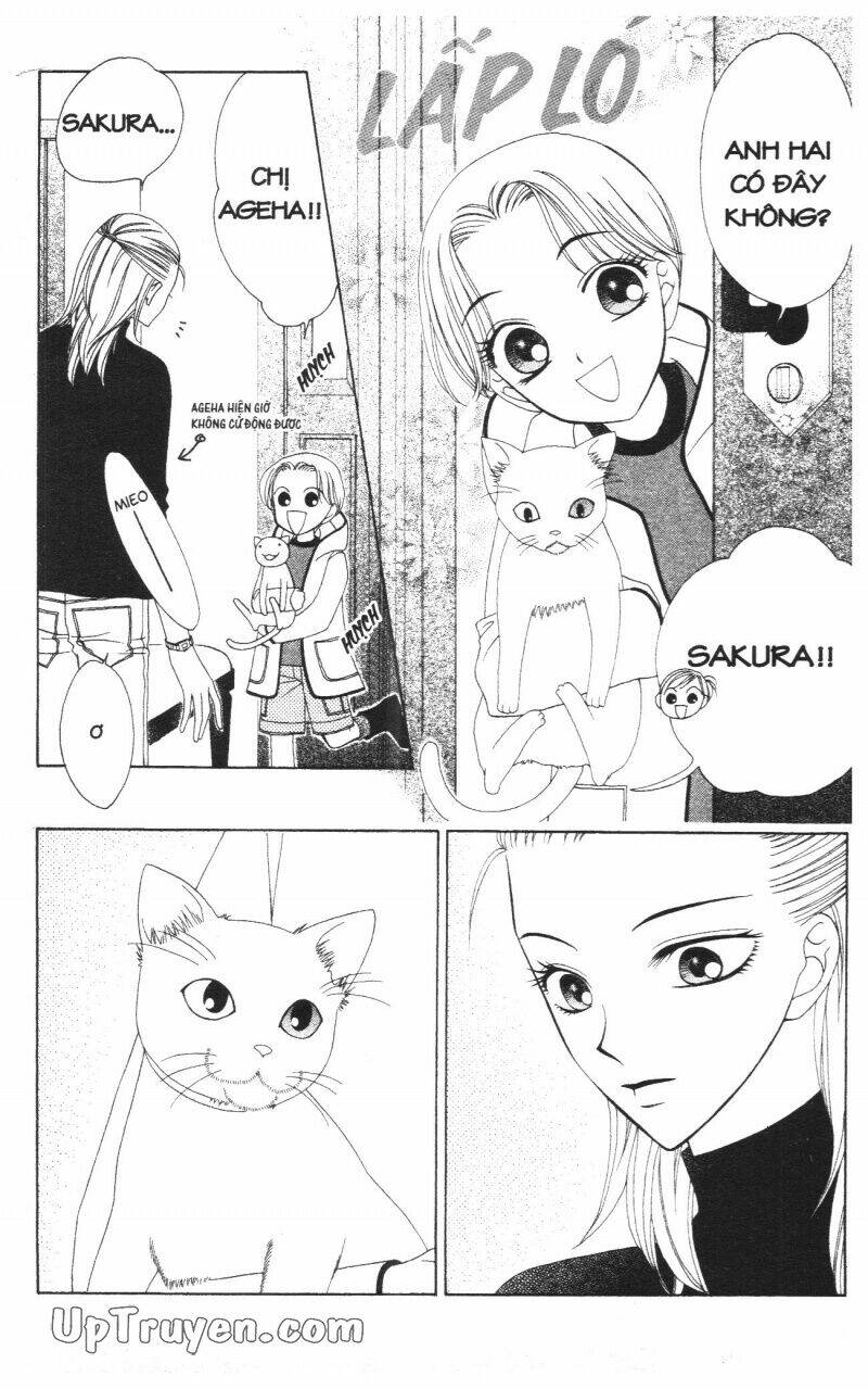 v.b.rose chapter 9 11