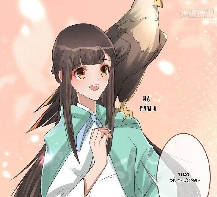 lấy thiên hạ làm sính lễ: vương phi lại trêu ta chapter 3 43