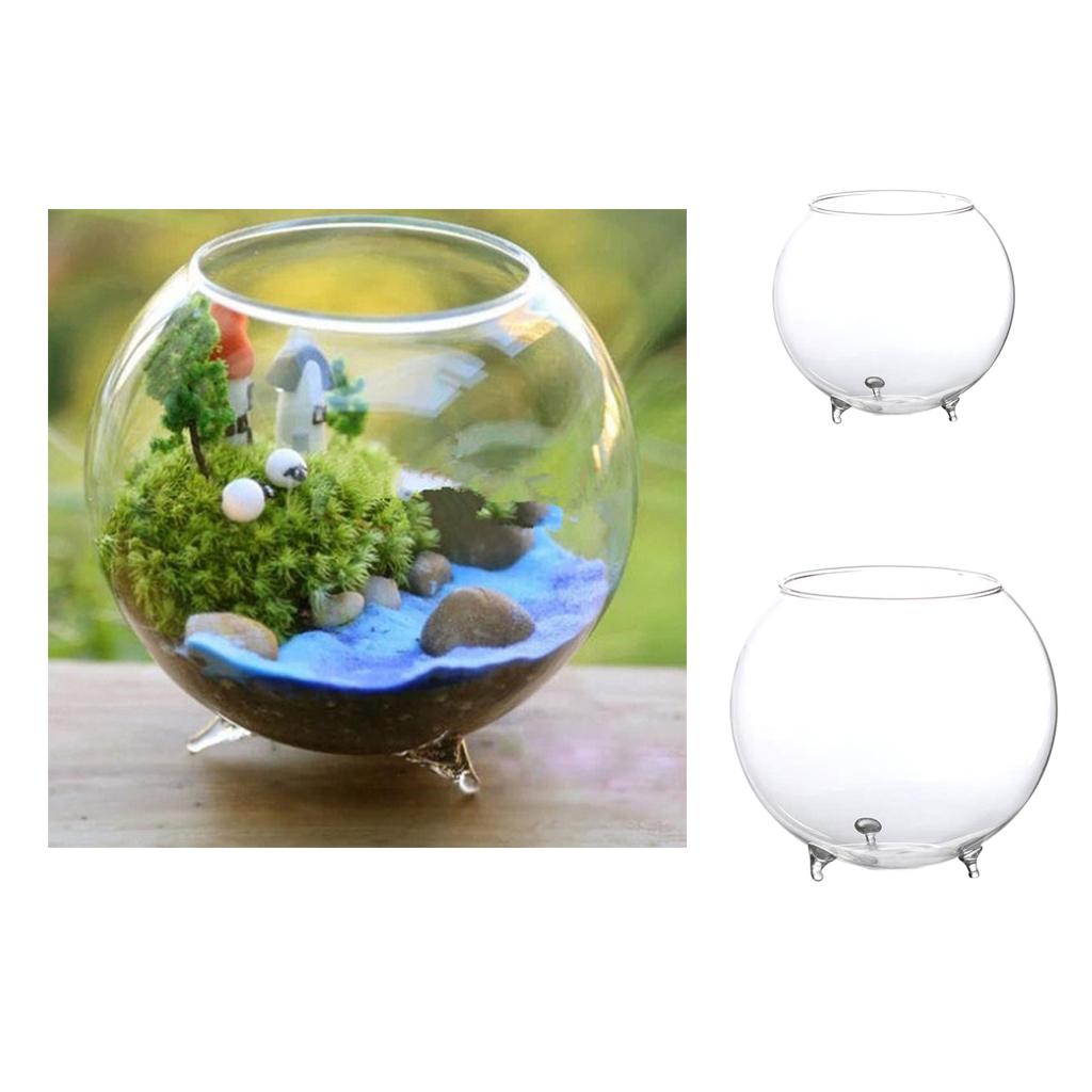 3 Xclear Kính Hoa Thủy Canh Bình Micro DIY Phong Cảnh Terrarium Chai S