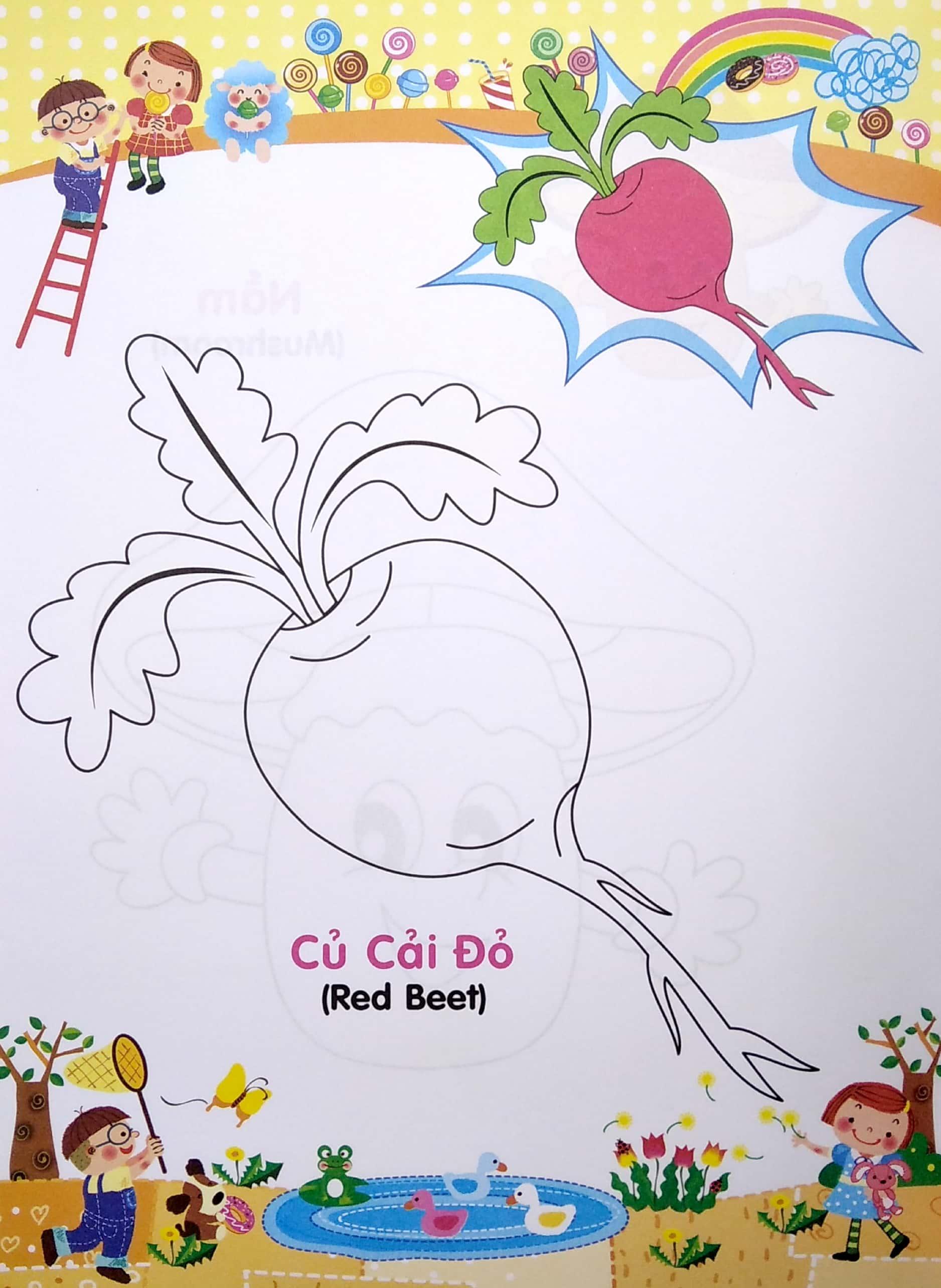 Bé Tập Tô Màu Và Học Tiếng Anh Theo Chủ Đề - Các Loại Rau , Củ