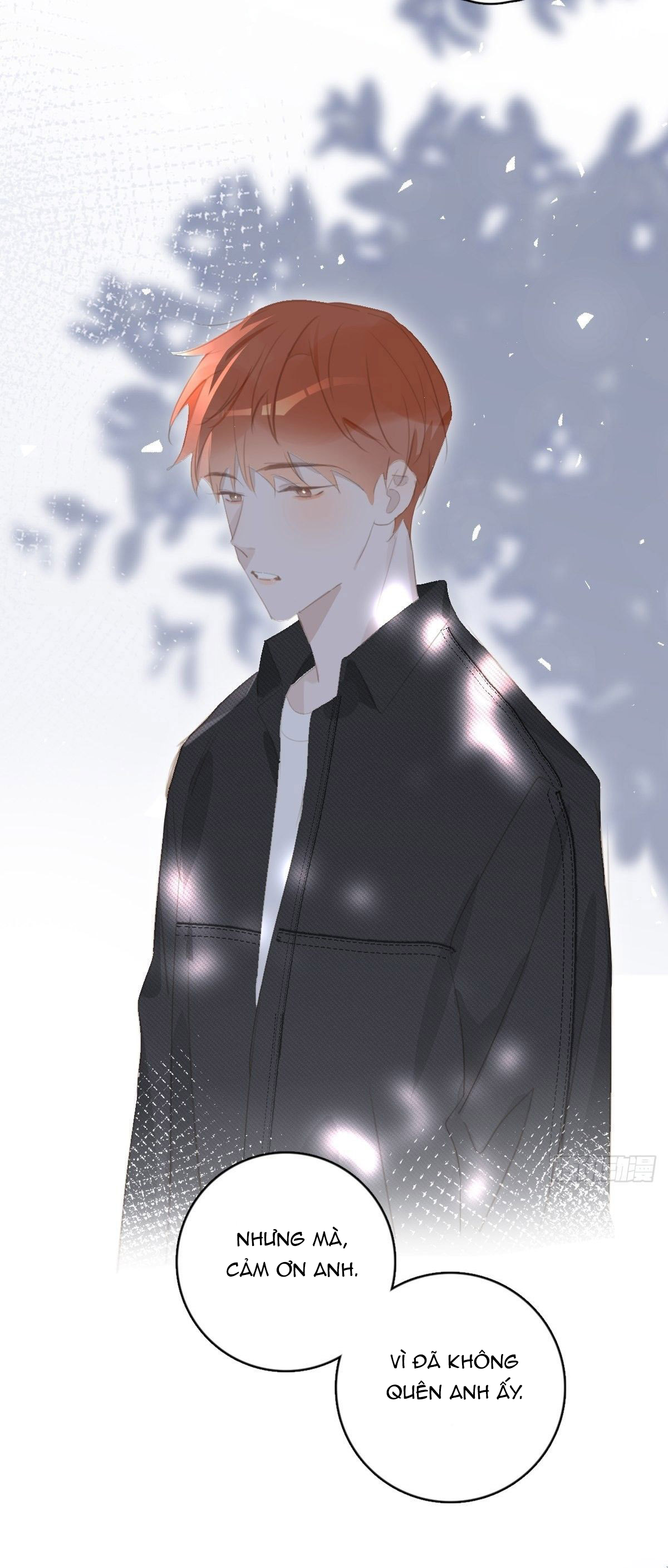 đêm đầy sao nói với em chapter 60 36