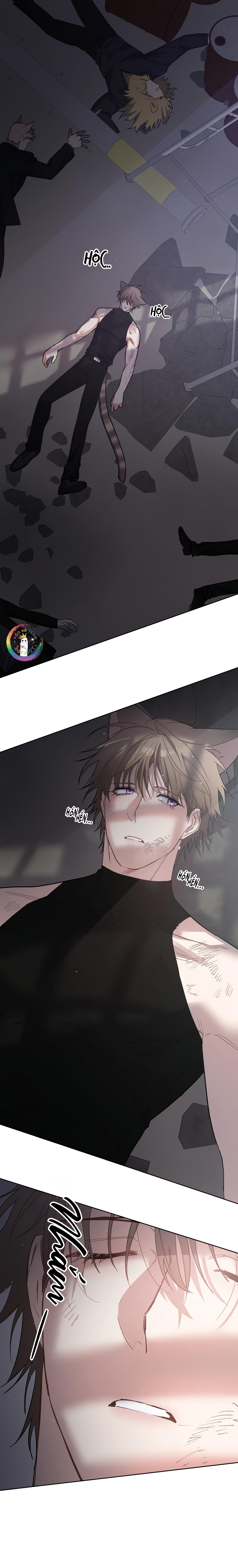 thỏ xuất tinh trong vòng 3 giây chapter 11 2