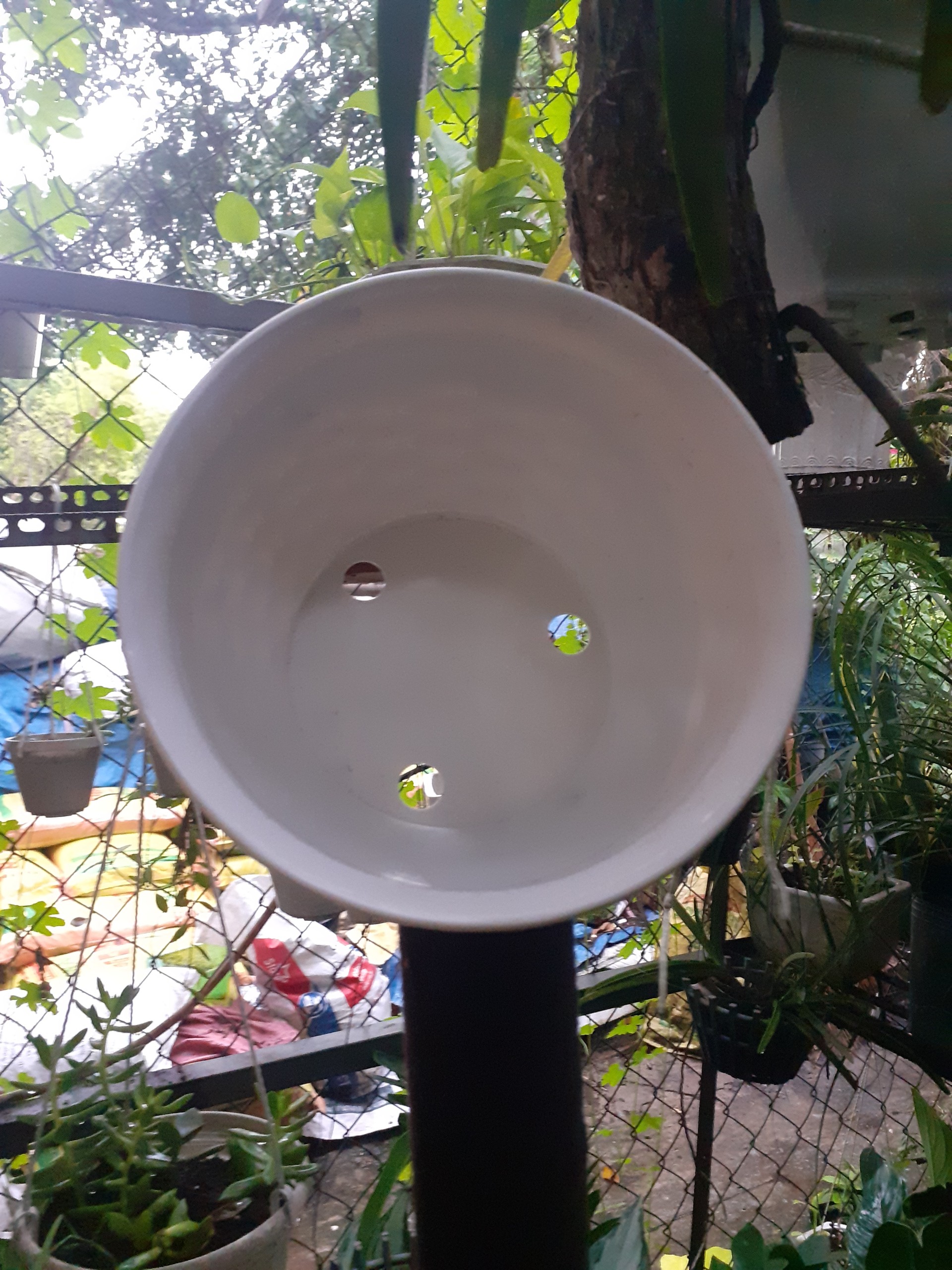 Chậu nhựa kiểu dáng mây tre đan màu trắng quá bát mắt