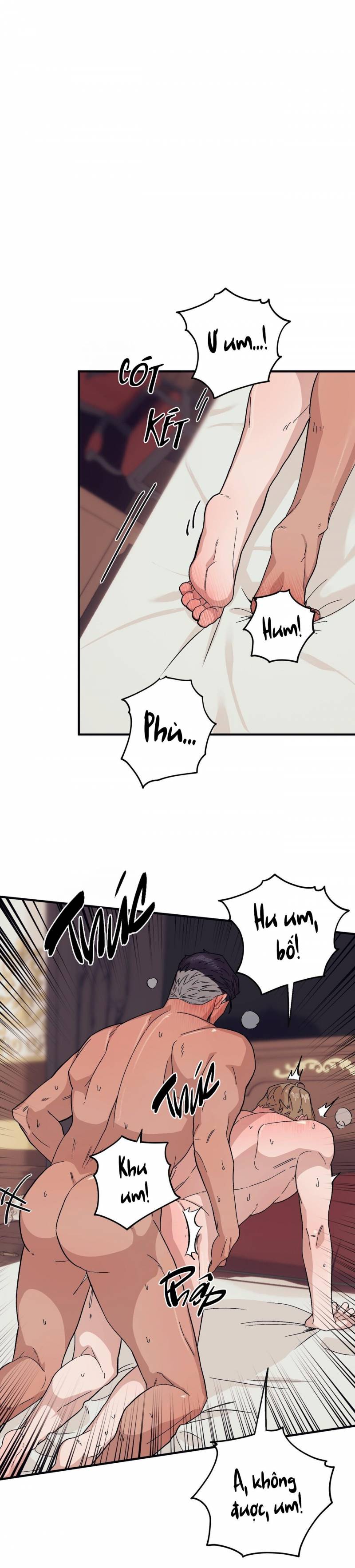 chàng dâu nhà họ kang chapter 51 1