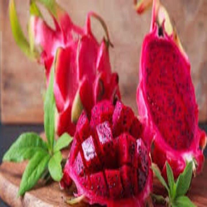 CÂY GIỐNG CÂY THANH LONG ĐỎ BÌNH THUẬN