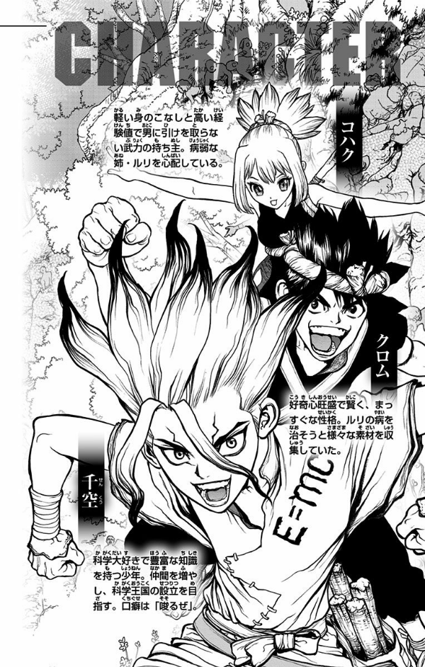 Ｄｒ．ＳＴＯＮＥ　　　５ DR.STONE 5