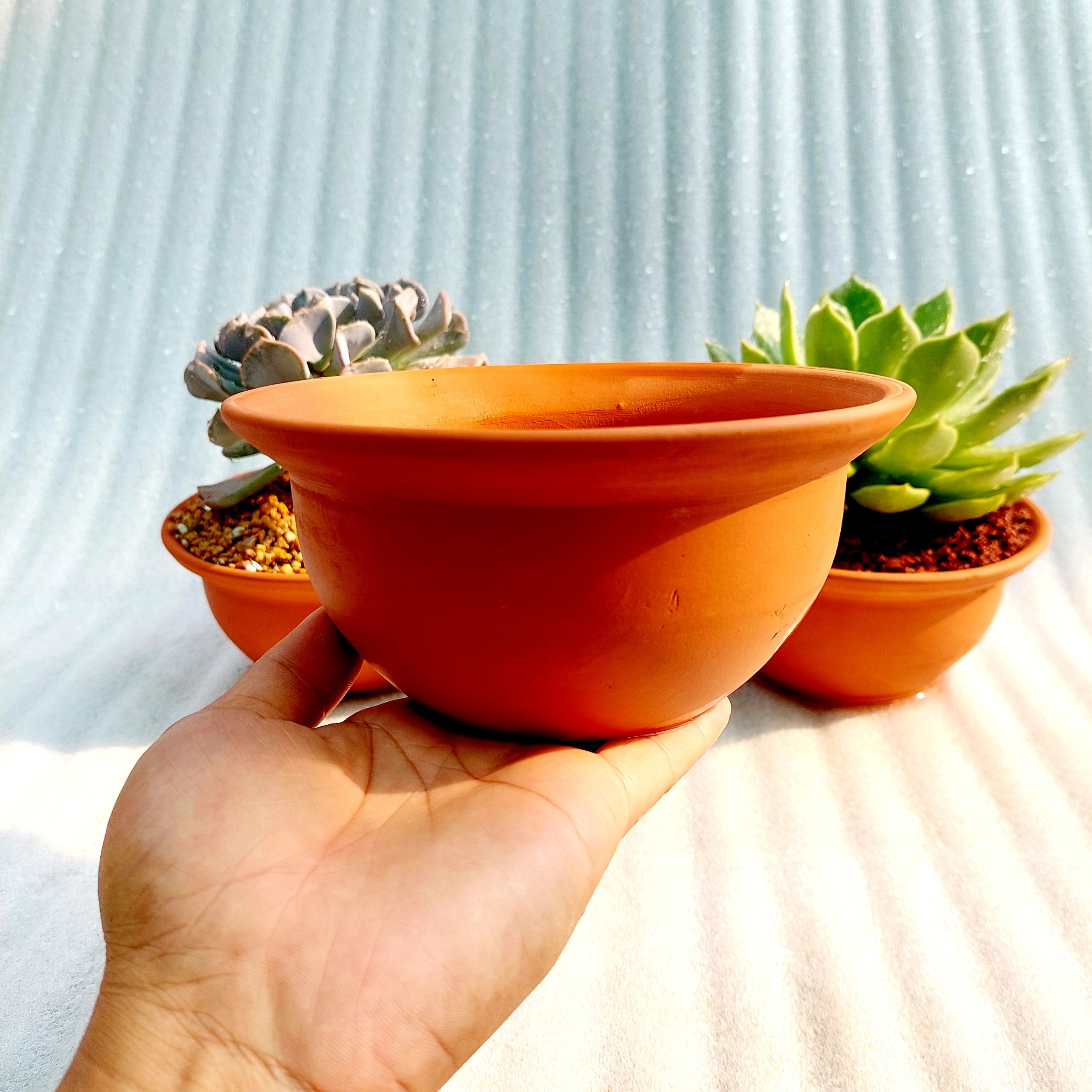 Chậu đất nung - Miệng bèo 168, miệng chậu 16cm, chiều cao 8cm