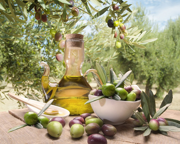 olive 6