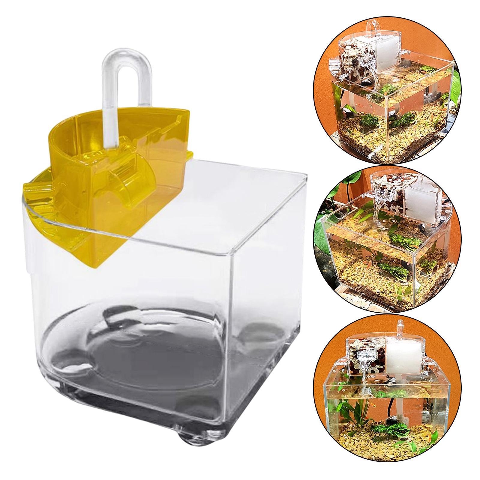 Desktop Aquarium with Water Filtration Quiet Air Pump
