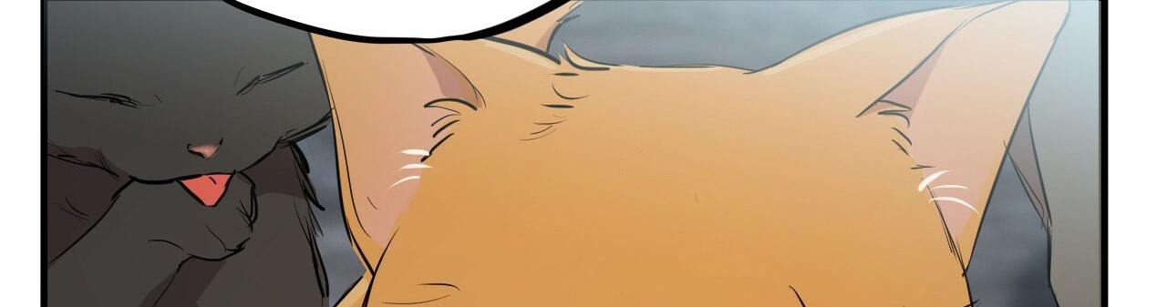 đàn thỏ của habibi chapter 22 523