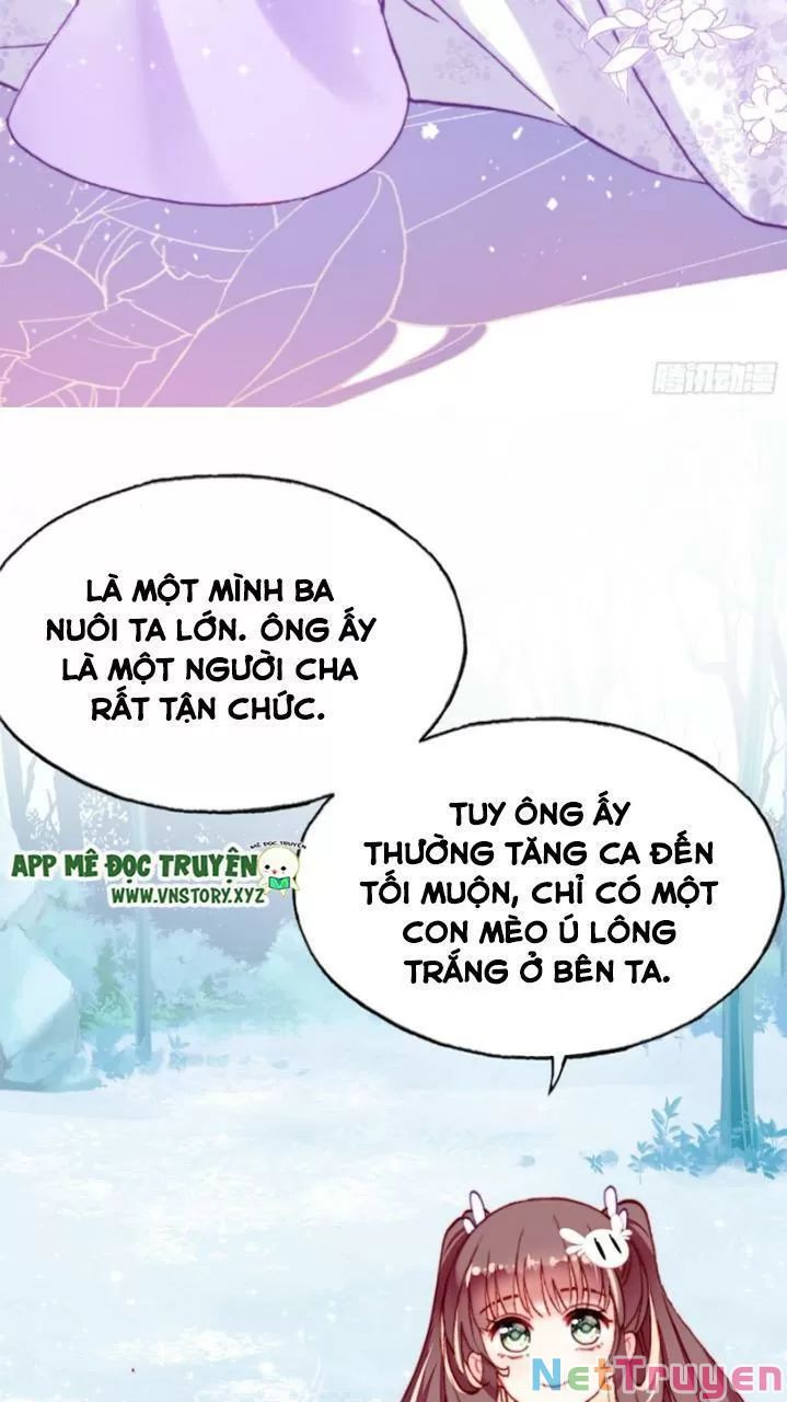 lại bị bệnh chiều chuộng quấn lấy chapter 19 37