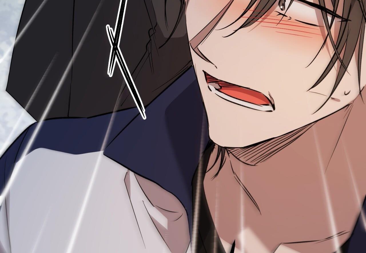 những chú thỏ của hapypy chapter 62 20