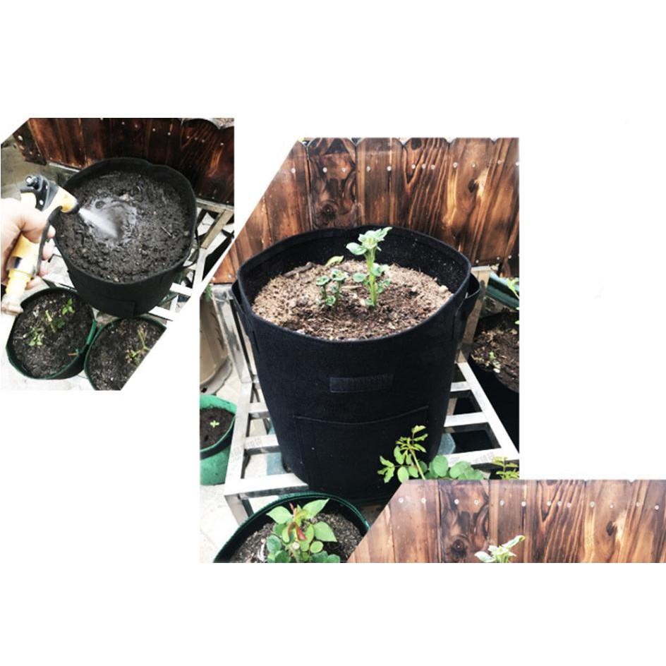 GROW GREEN BAG Chậu trồng cây, khoai củ vì môi trường 30x35cm  - Home and Garden