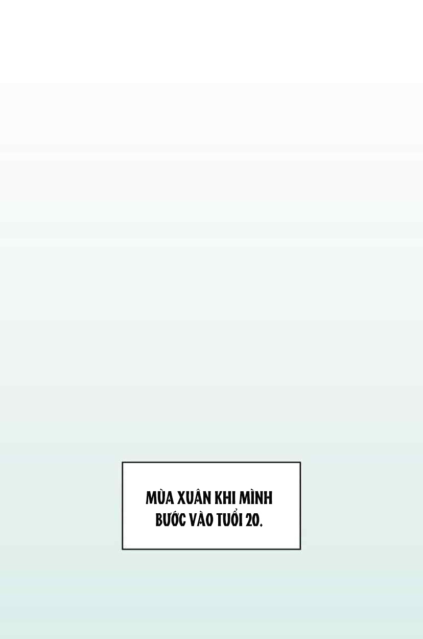 thanh xuân rực rỡ - season of blossom chapter 57 63