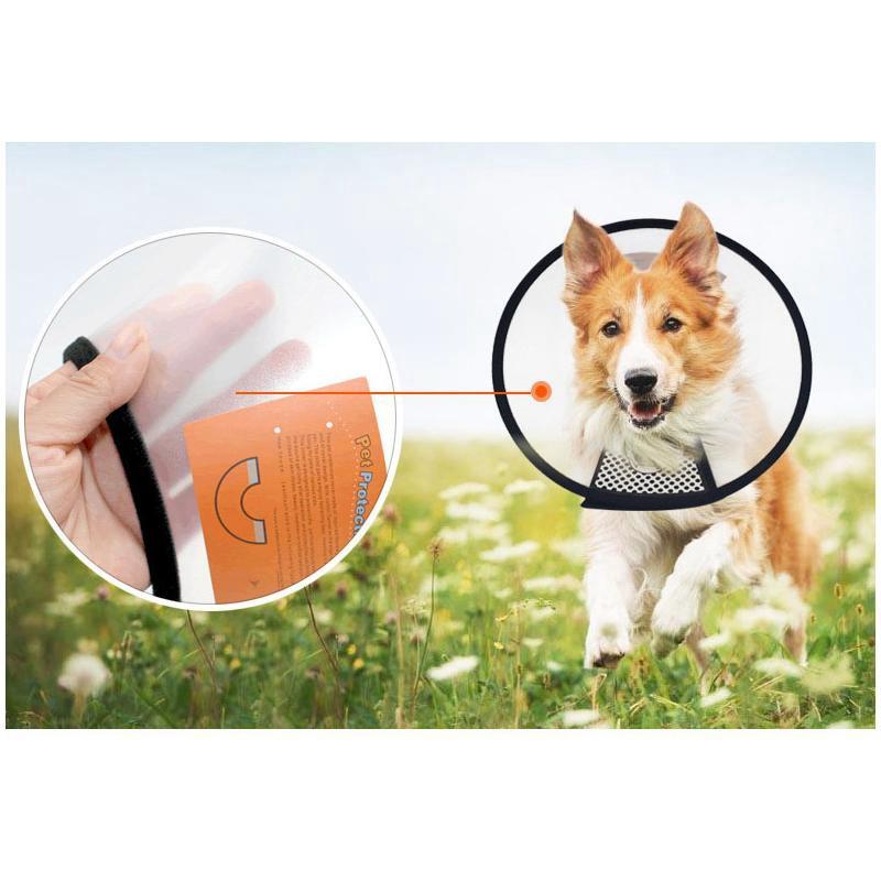 Vòng chống liếm, loa đeo cổ cho chó mèo Ngáo Và Gâu Đần Số 6 vòng cổ 17-25cm