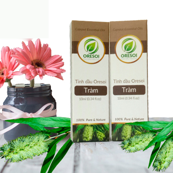 Tinh dầu Tràm gió hữu cơ Oresoi 10ml – Cajeput Essential Oil