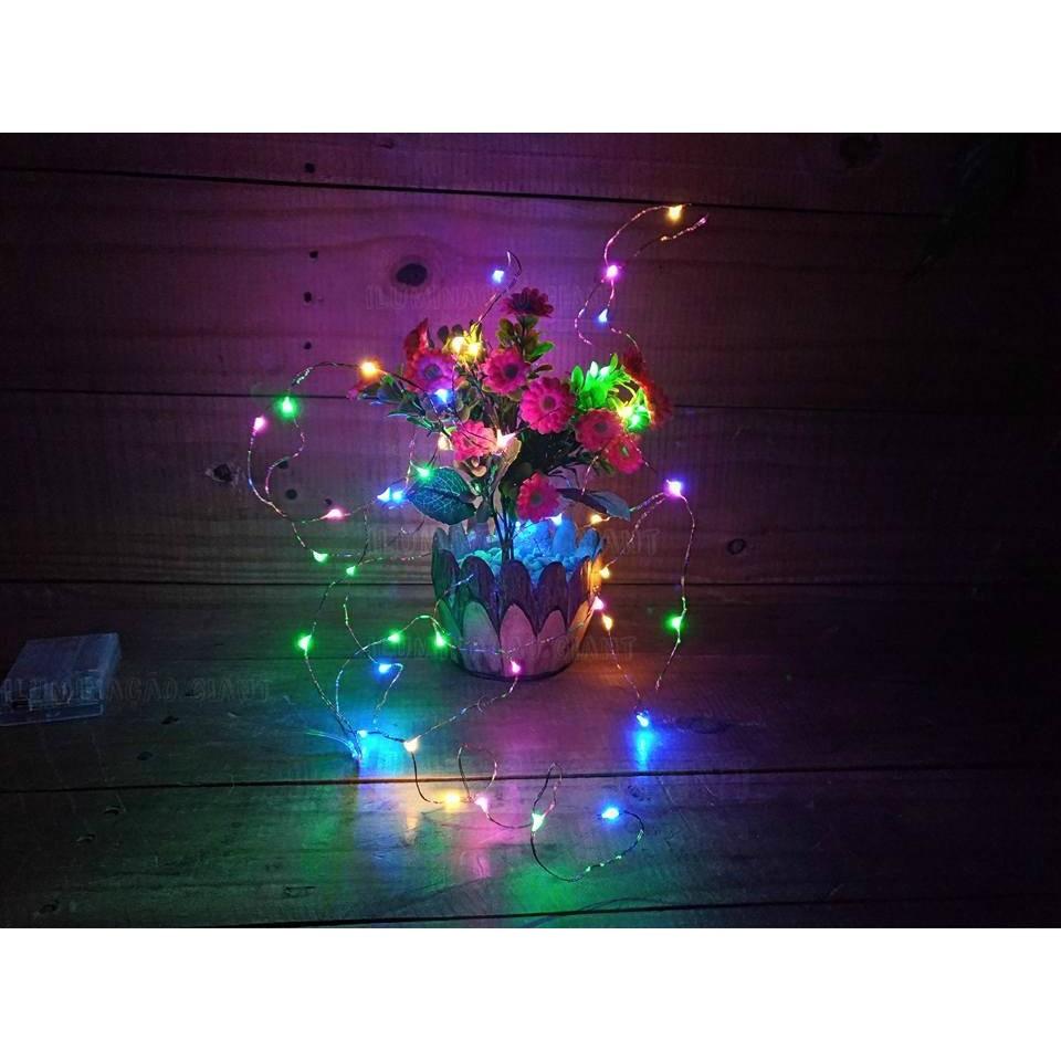 Dây đèn Led fairylight ,dây đèn đom đóm 2mét, 3 mét dùng pin AA, pin cúc áo