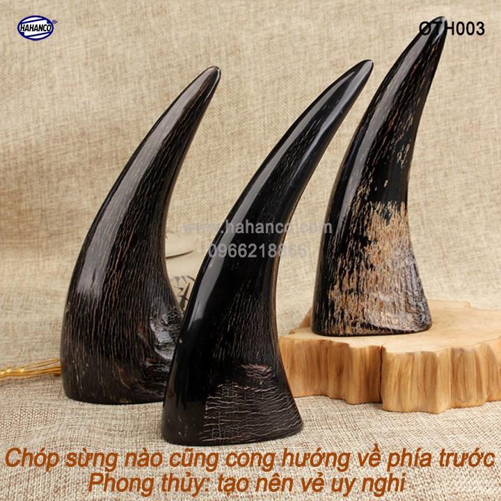 Chóp sừng trâu vật phẩm phong thủy (OTH003) HOT nhất của năm trâu vàng 2021 - giàu sang - phú quý