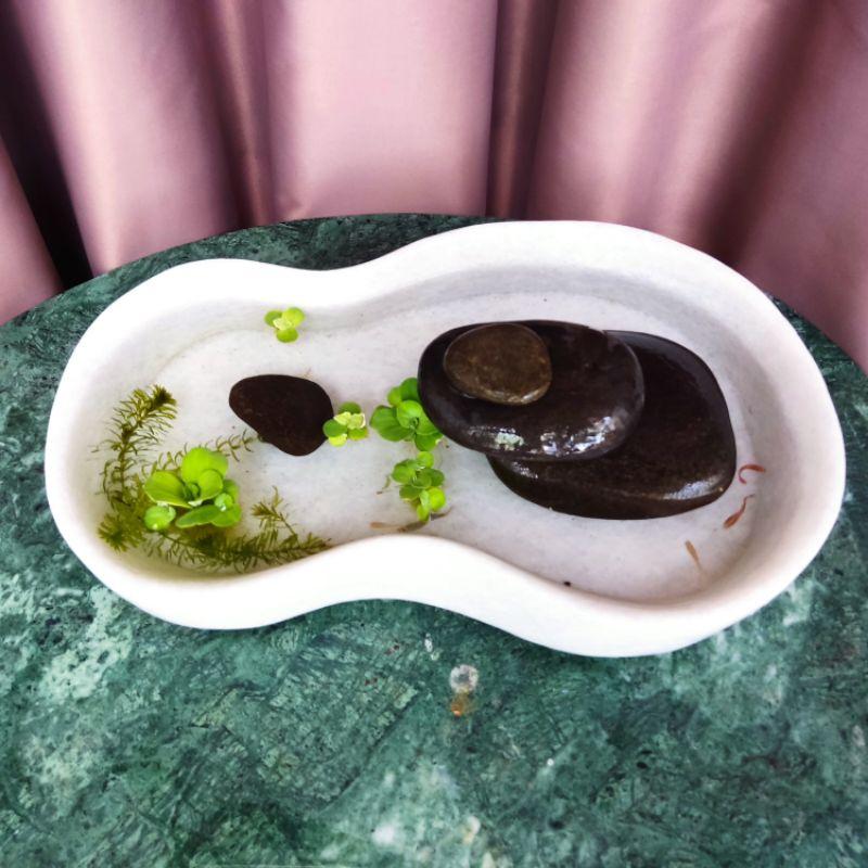 Hồ nuôi cá bằng đá trắng kèm cuội