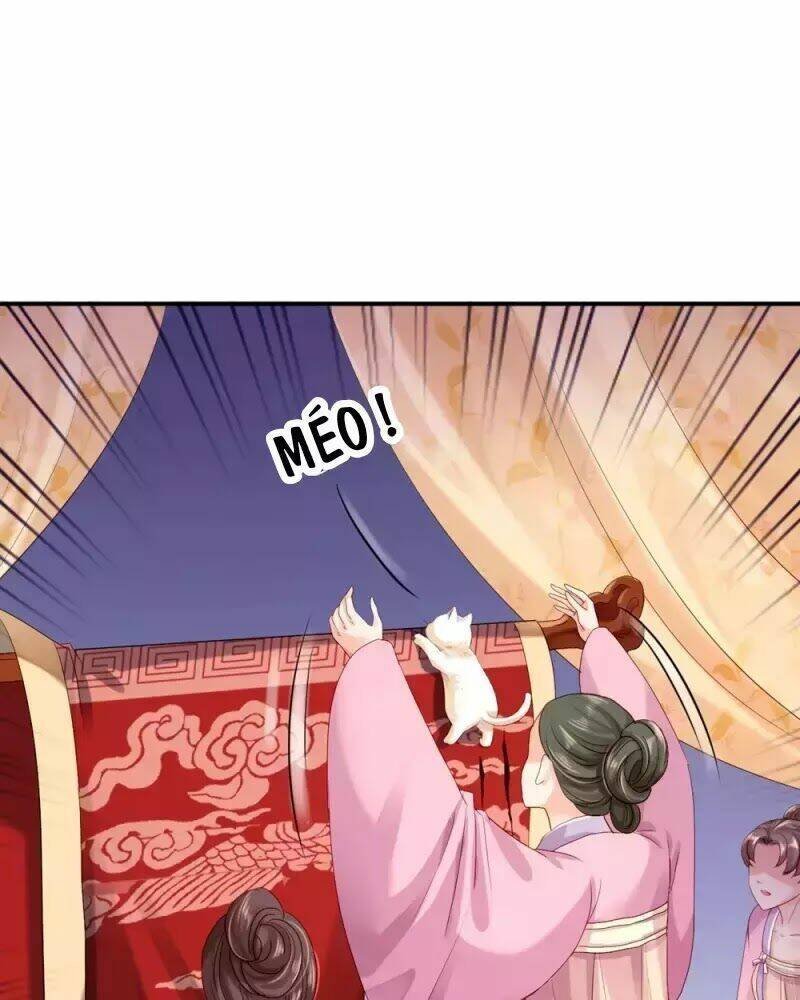 từng bước âm mưu thâm độc : huyết hoàng trở về chapter 12 25