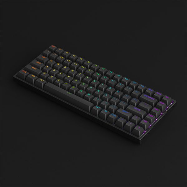 Bàn phím cơ AKKO 3084 v2 RGB – Black/White (Foam tiêu âm / Hotswap / AKKO CS Jelly switch) - Hàng chính hãng