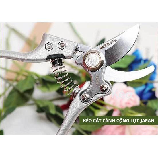 Kéo cắt tỉa cành cây Nhật siêu sắc sk5