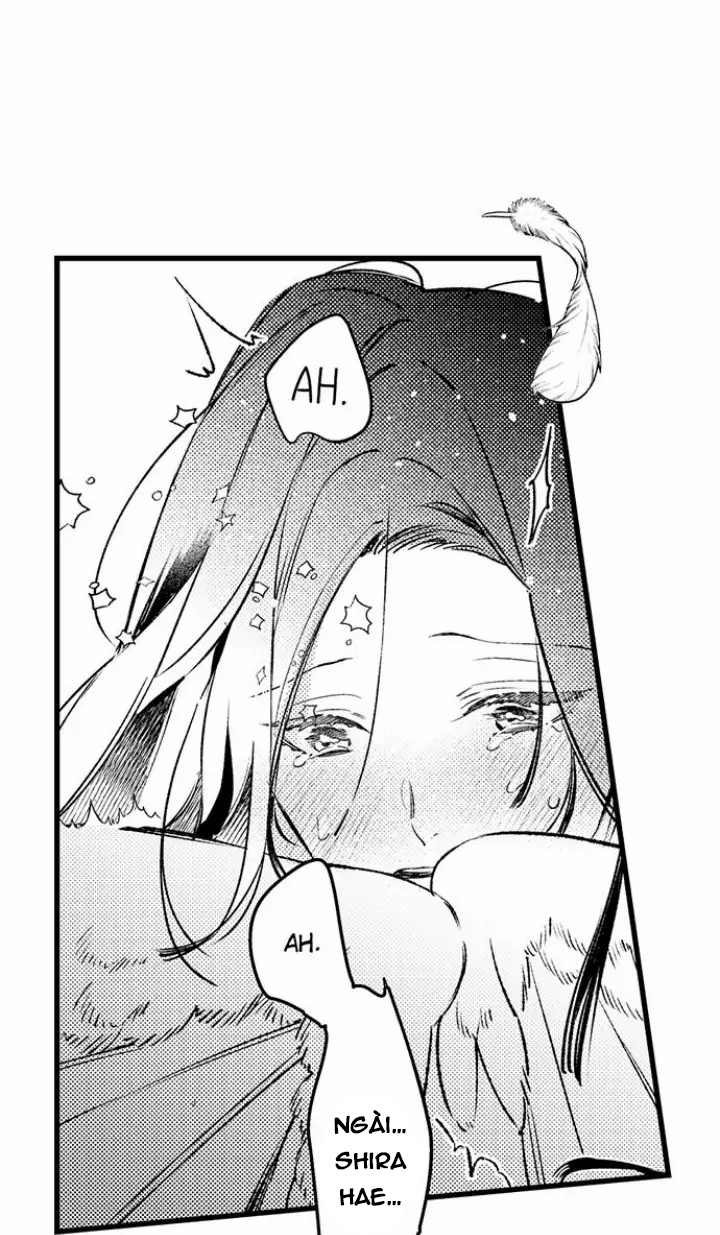 điểu thượng minh hoa chapter 3.2 8