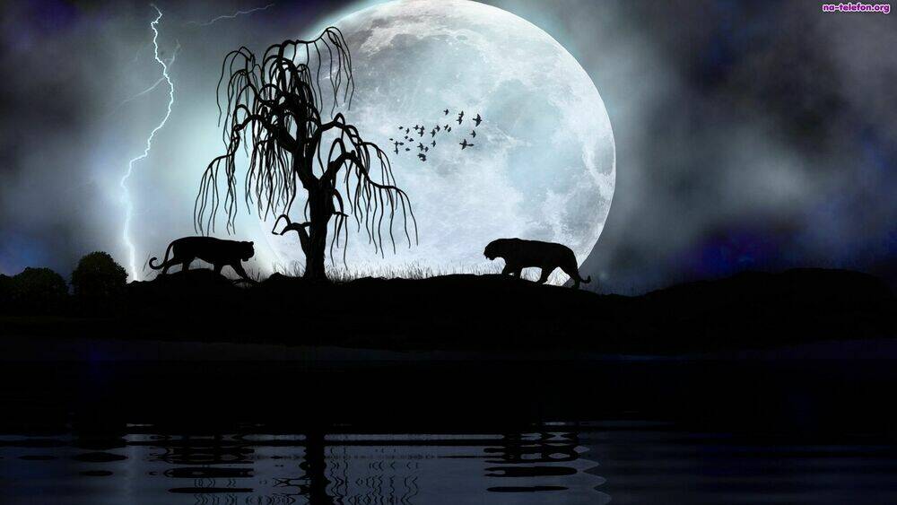 album natural wallpapers chapter 9 13