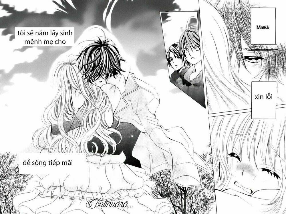 cuộc gặp gỡ diệu kỳ chapter 69 19