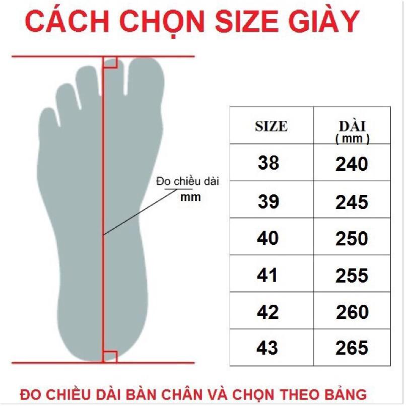 Giày cầu lông - Xanh nước biển,40