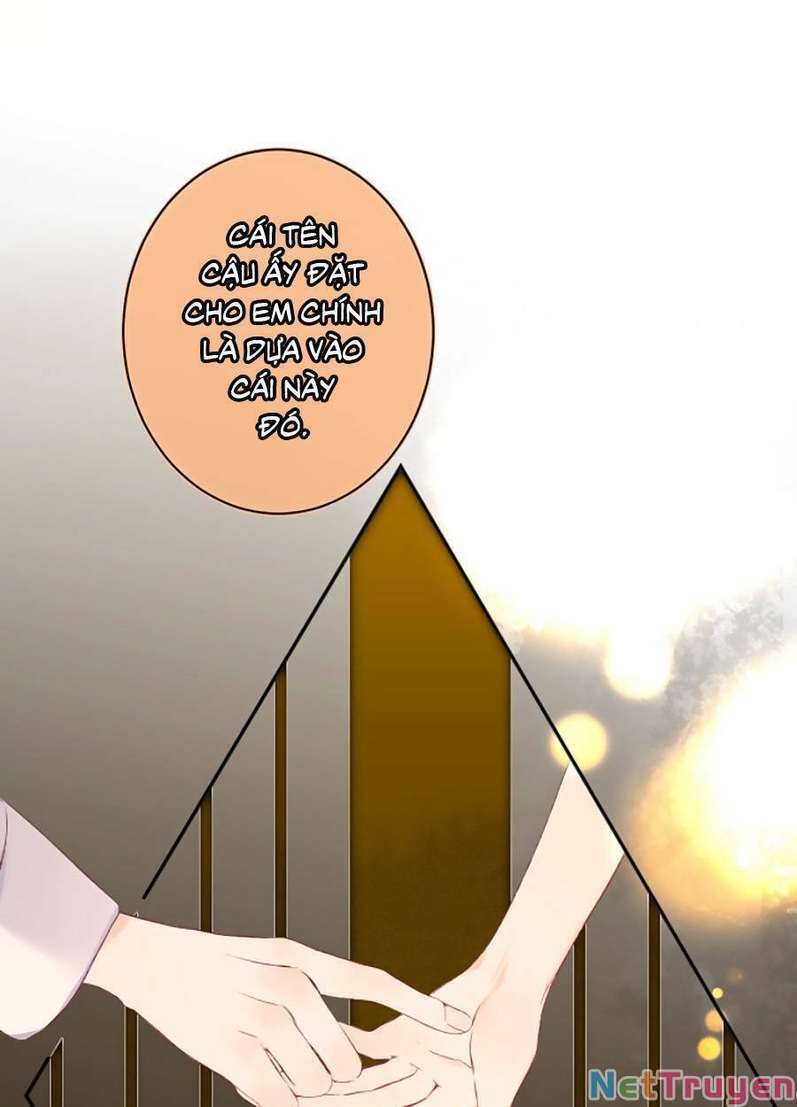 đừng khóc chapter 95 10