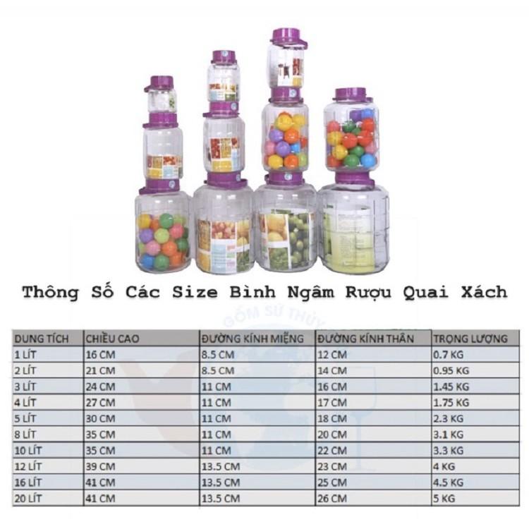 Bình Ngâm Rượu Thủy Tinh Nắp Tím Có Quai Xách Giá Rẻ Mã 2L và 3L