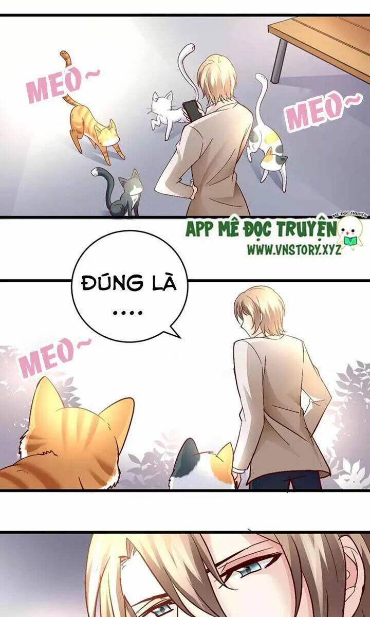 trò chơi săn tình - tổng tài khó kìm lòng chapter 48 6