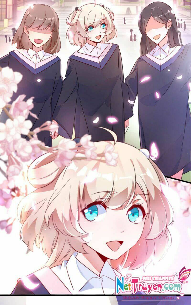 thiên thần gấu trúc muốn được ôm chapter 1 7