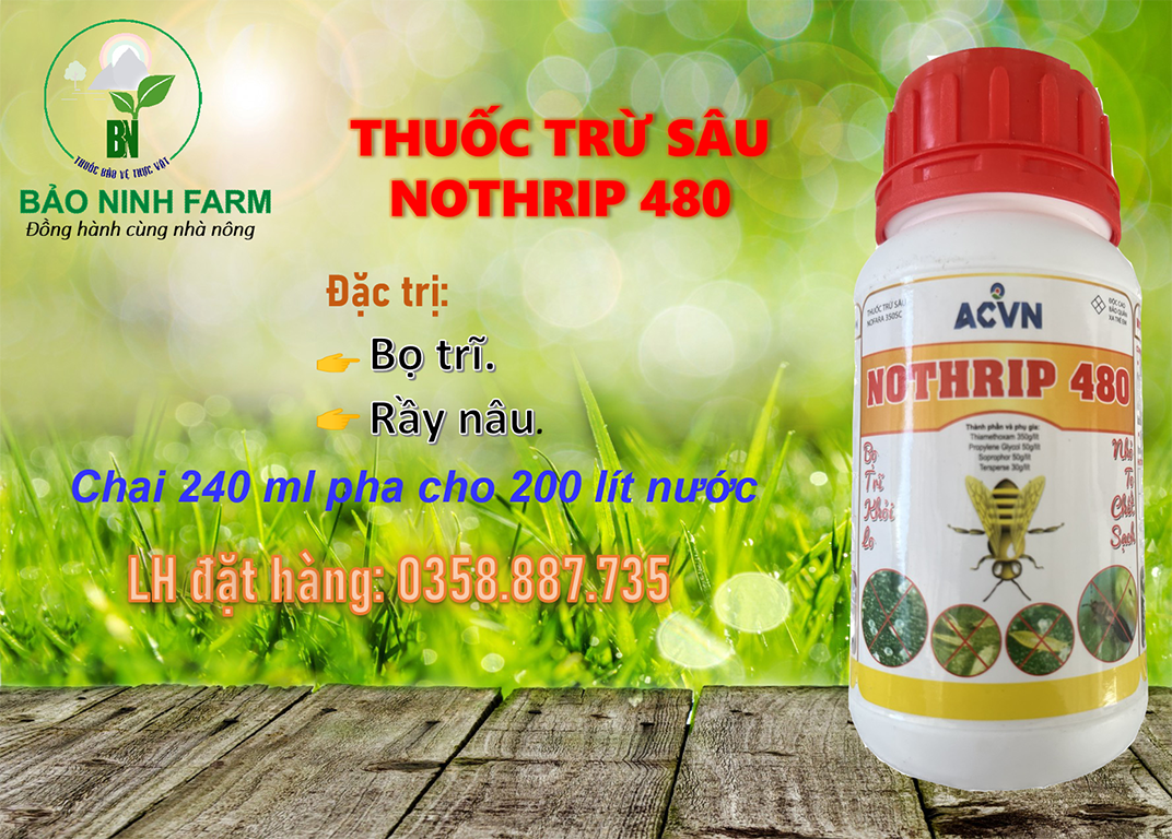NOTHRIP 480 AVCN - Diệt sạch bọ trĩ
