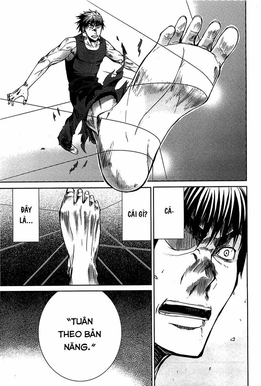 arachnid chapter 15 14