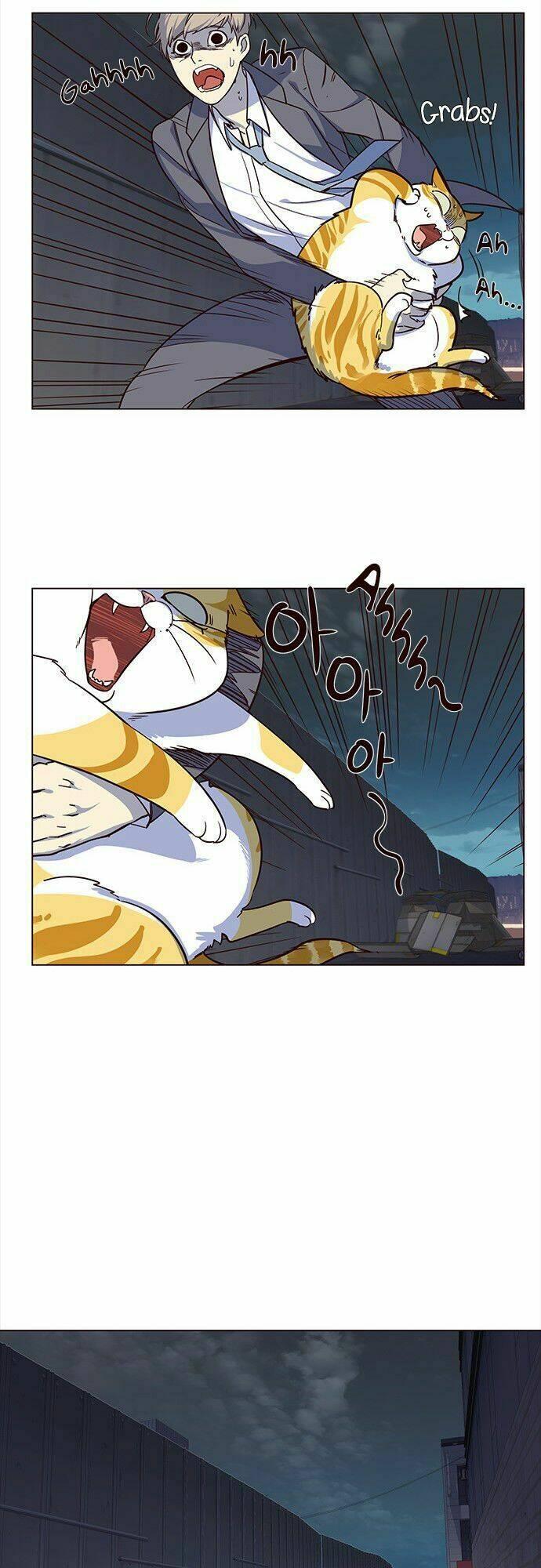 biến thân thành mèo chapter 3 15