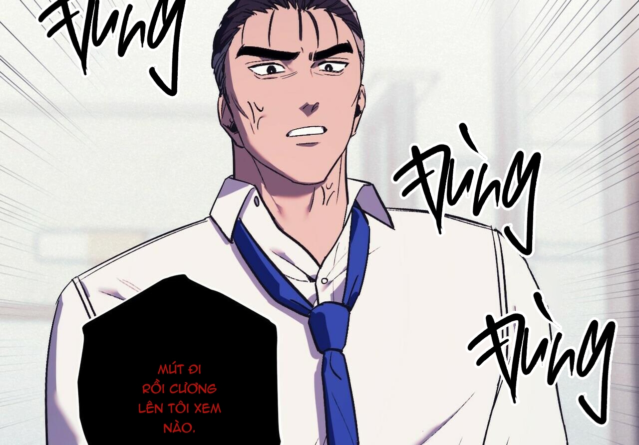 chàng dâu nhà họ kang chapter 15 11