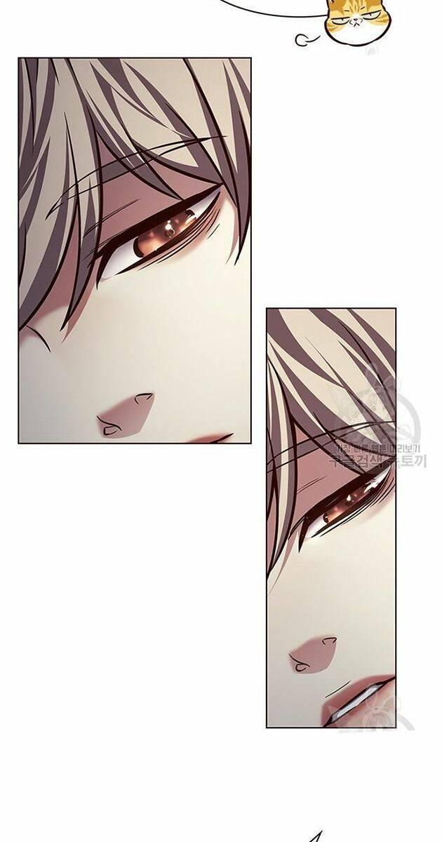 biến thân thành mèo chapter 214 75