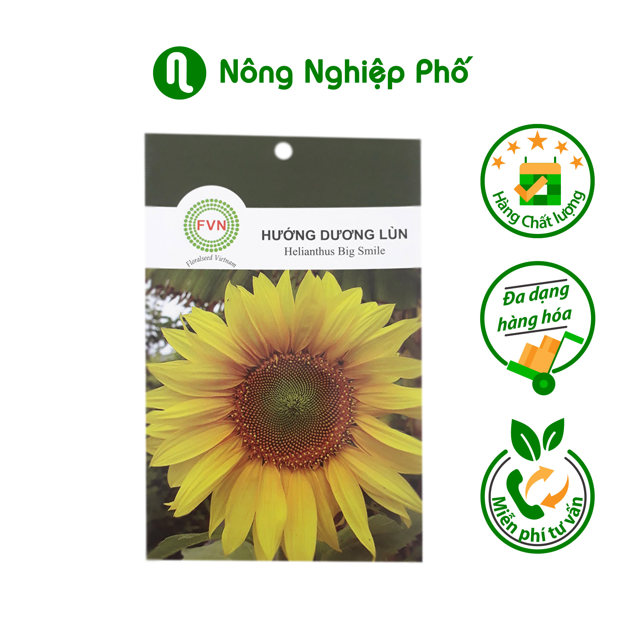 Hạt giống hoa Hướng Dương Lùn FVN