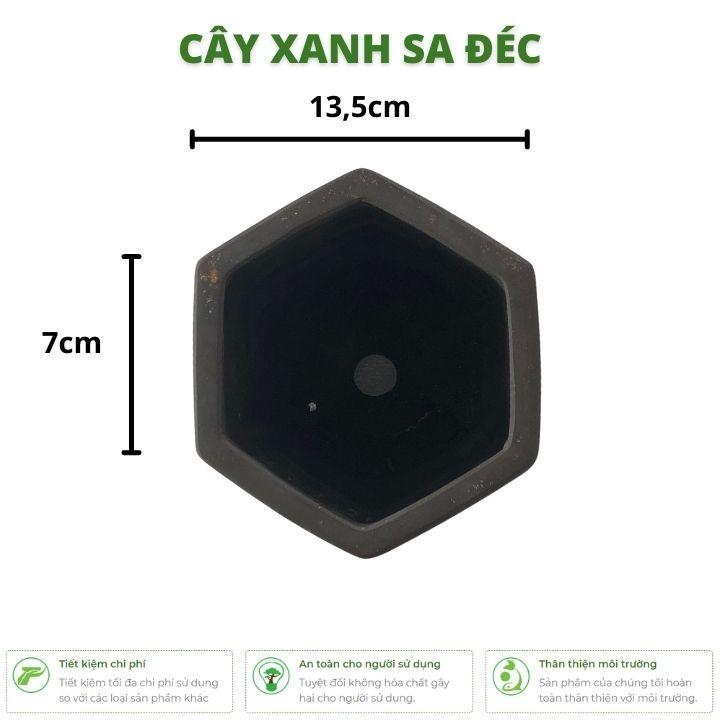 Chậu lục giác chữ tàu họa tiết vàng đồng CK20 sang trọng, cổ điển trang trí nhà cửa