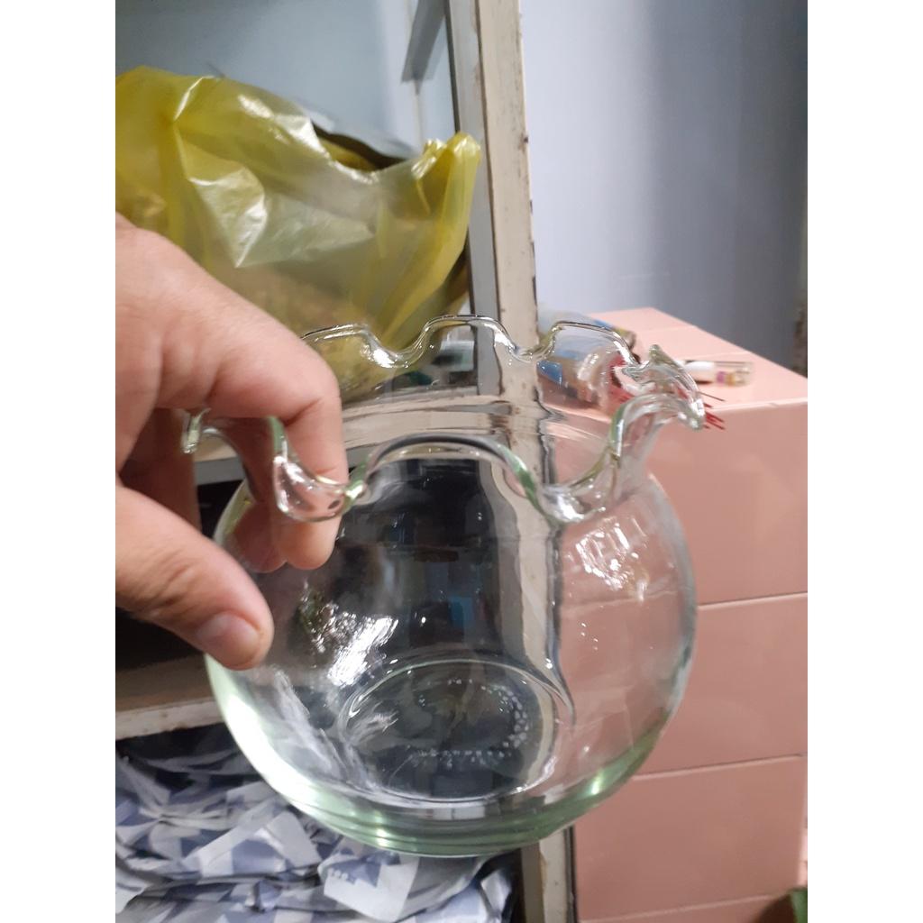 Chậu thủy tinh đủ kích cỡ, đồng giá 78k/chậu.