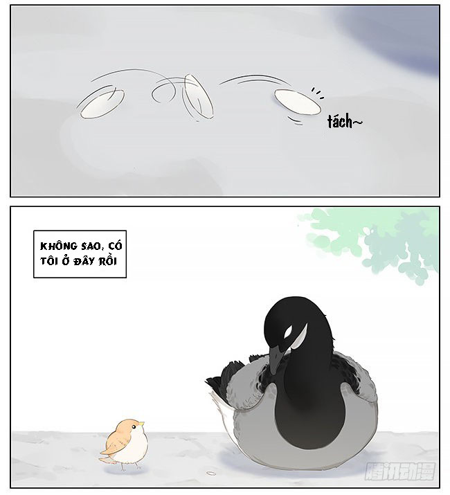 sẻ chiếu mới và nhạn phong sương chapter 10 14