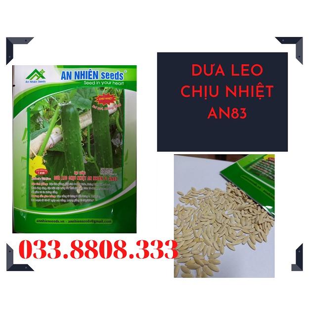HẠT GIỐNG DƯA LEO CHỊU NHIỆT AN83 - HÀNG CHUẨN