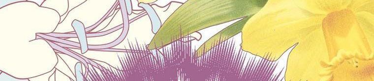 xin hãy kết hôn với em chapter 37 502