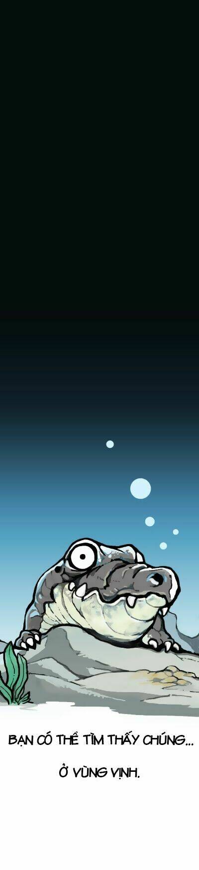 earth, human, and animal chapter 6 2